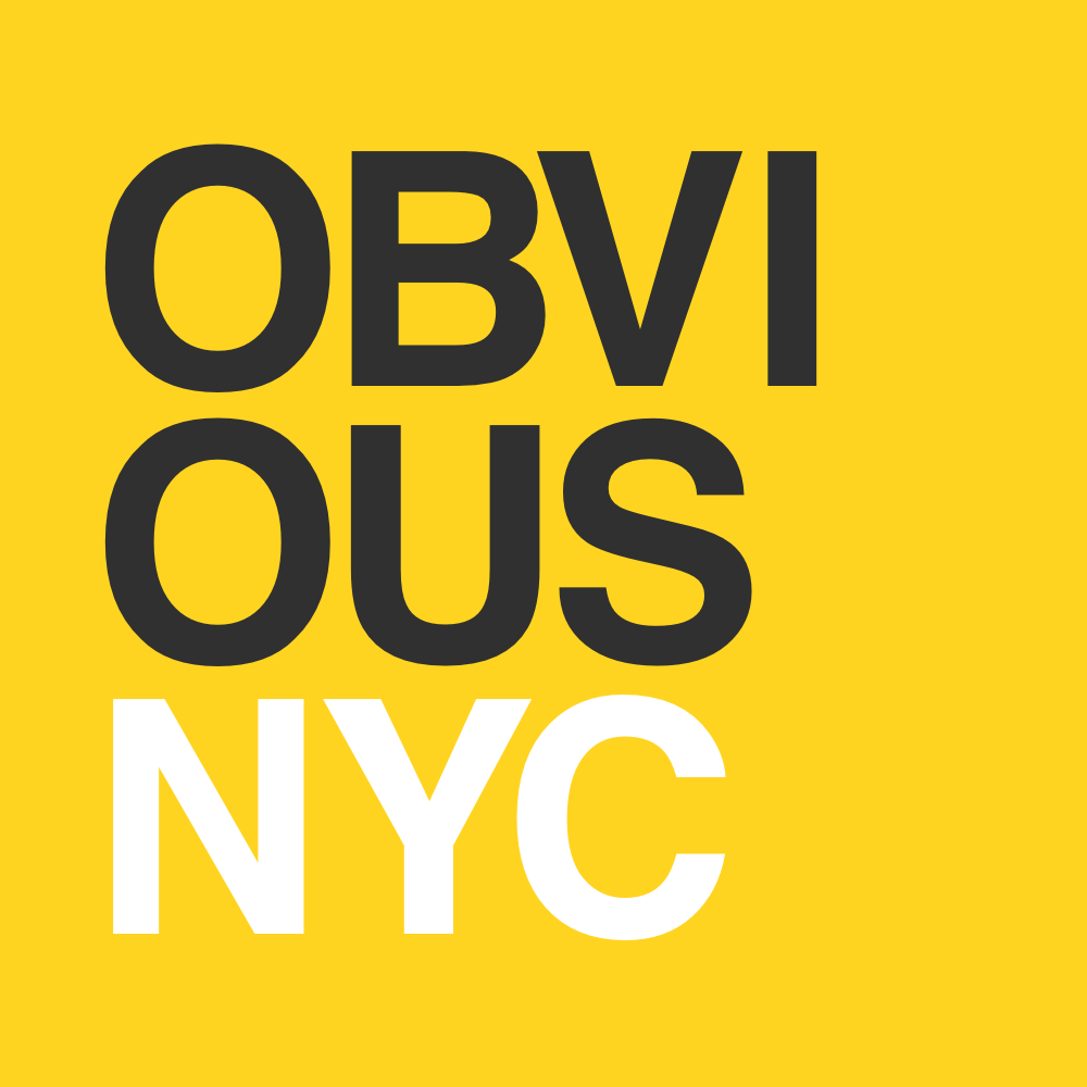 Obvious NYC ~ Travel Guide for New York City artwork